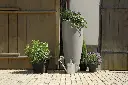 PU326111 - BIS1.webp