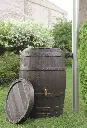PV250 - BIS1.webp
