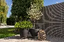 R0PLANTDISPLAY_03.webp