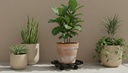 image_R064R_3474_1